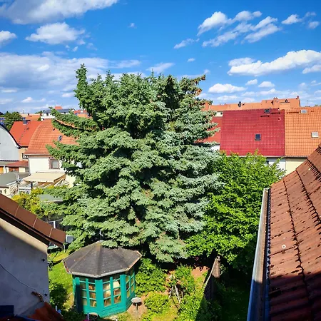 Apartment Domstadt *